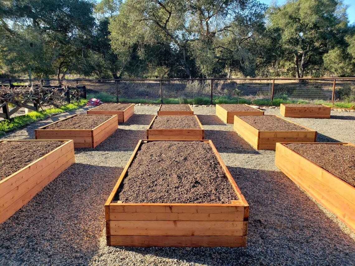 The Best Organic Garden Soil for Thriving Raised Beds: A Natural Approach to Nurturing Your Plants