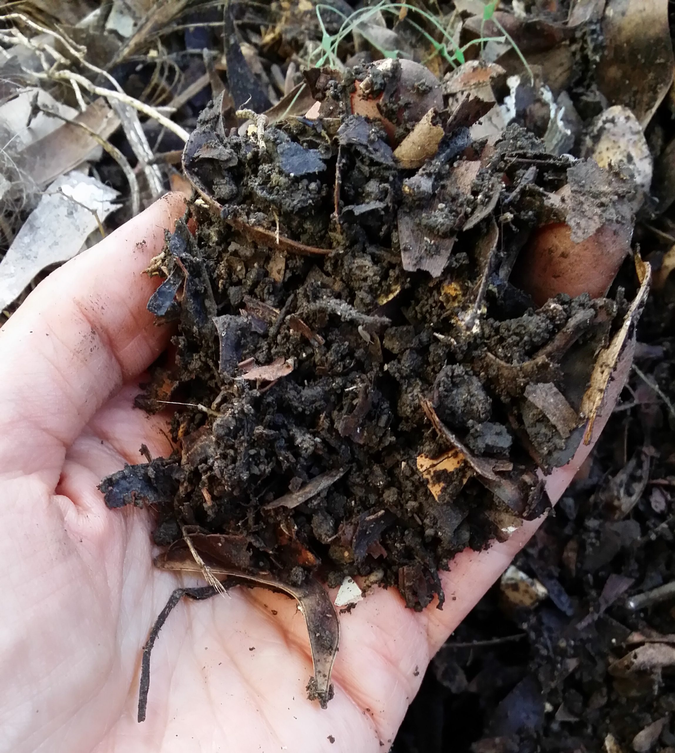 Ground Composting: A Sustainable Approach to Enhancing Soil Health and Reducing Waste