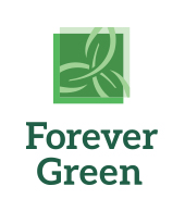 Why Forever Green is the Go-To Solution for Sustainable Living