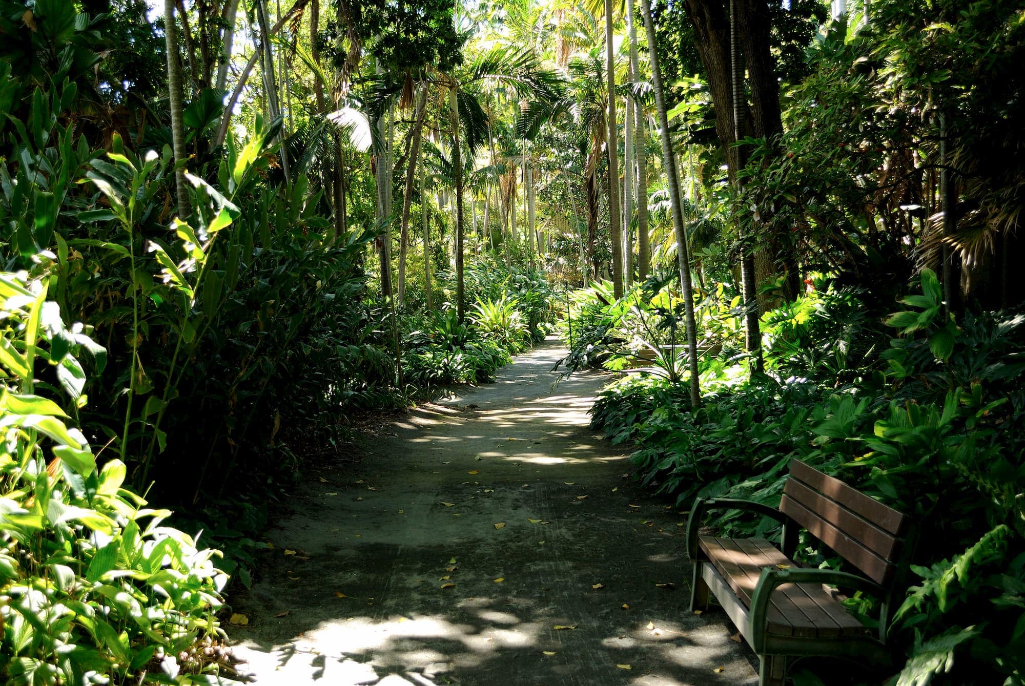 Exploring the Natural Wonders of Oahu's Best Botanical Garden