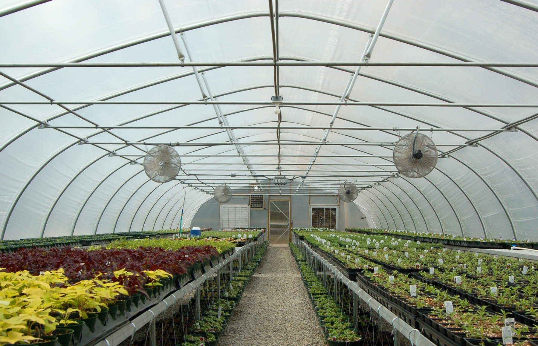 The Benefits of Choosing a Freestanding Greenhouse for Your Garden