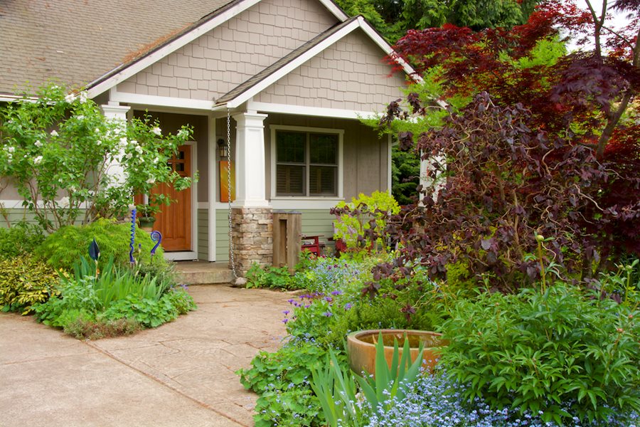 Exploring Eco-Friendly Alternatives for a Lush Green Lawn
