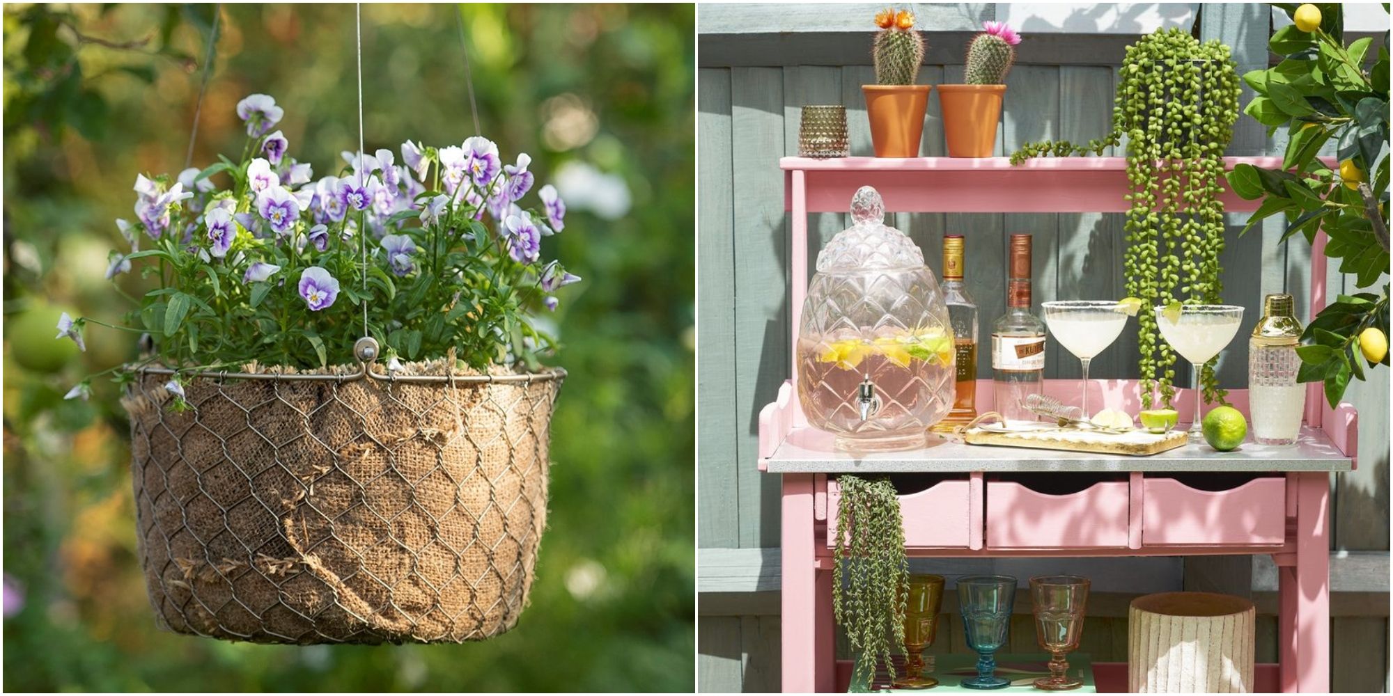 the Most Affordable Options for Purchasing Garden Flowers