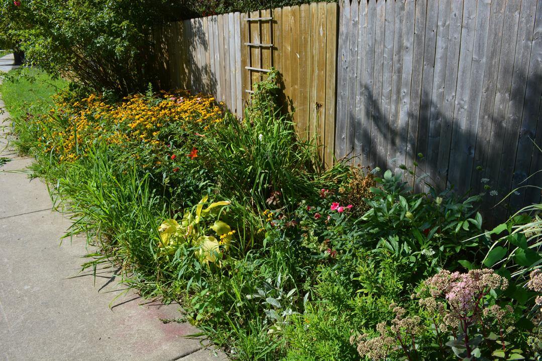 How to Tame an Overgrown Flower Garden and Restore Its Beauty Naturally