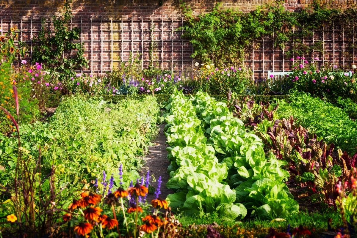 Creating a Thriving Underground Garden: Unveiling the Hidden Potential Below the Surface