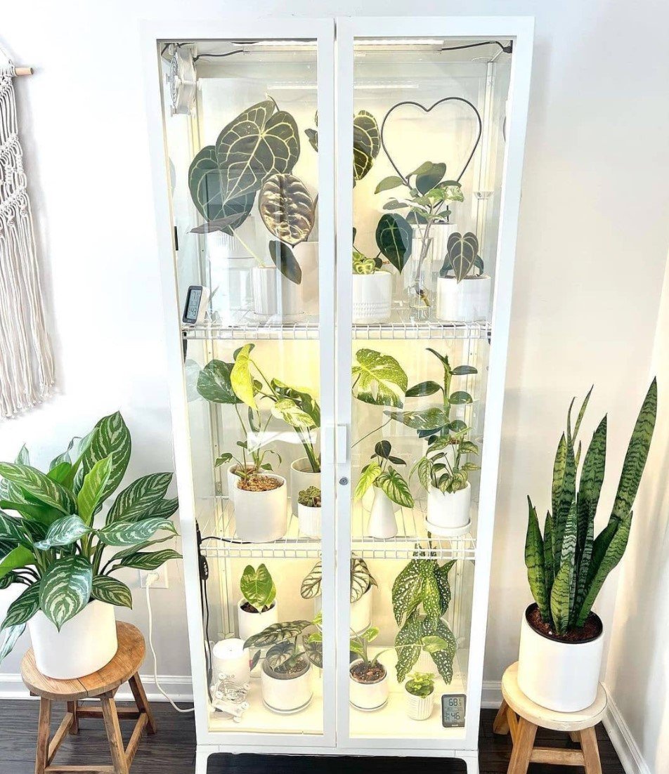 Creating a Green Oasis Indoors: Exploring the Benefits of the IKEA Indoor Greenhouse