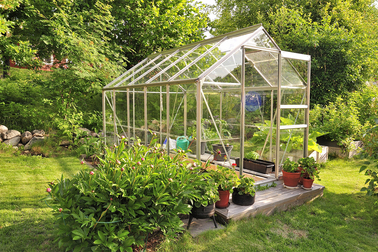 Exploring Local Greenhouse Haven: A Natural Approach to Embrace Nature's Serenity