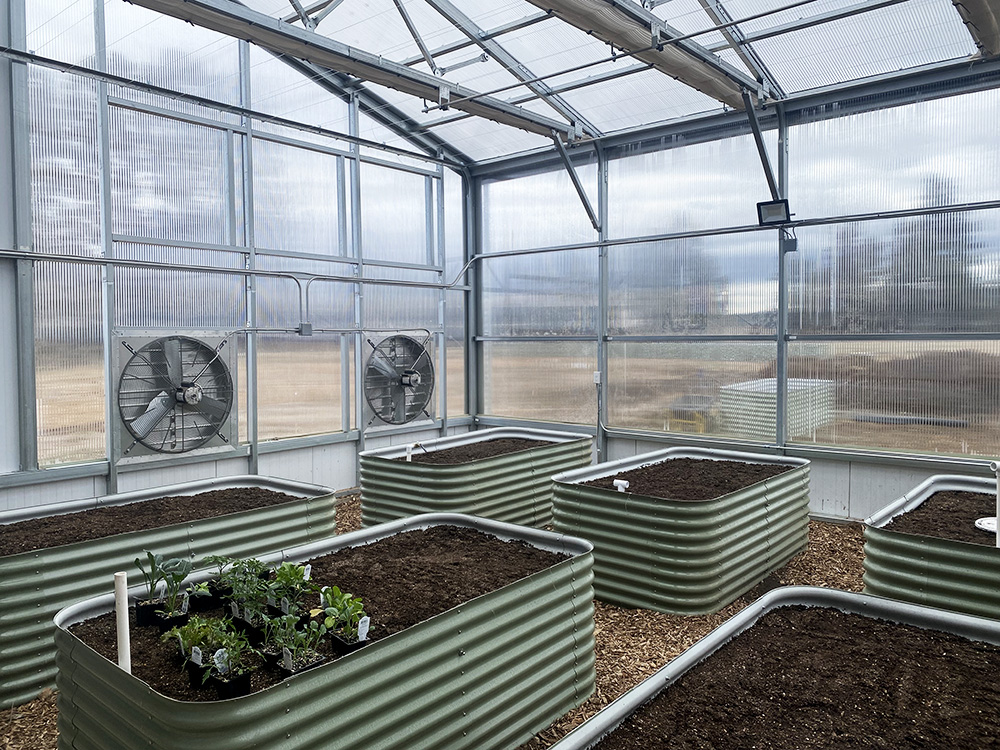 The Top Greenhouse Models for Optimal Plant Growth and Sustainability