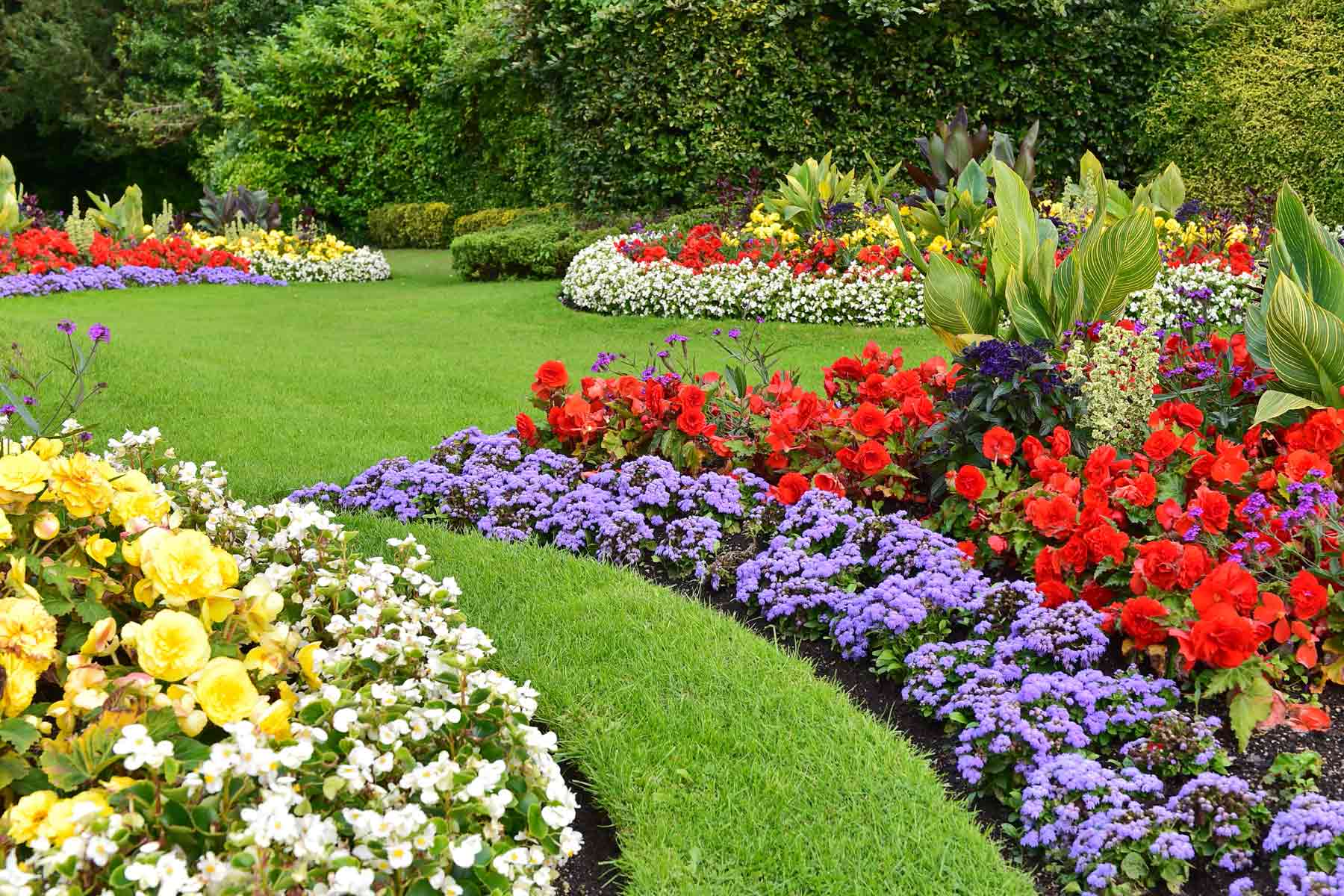 How Much Does It Cost to Create a Beautiful Flower Garden?