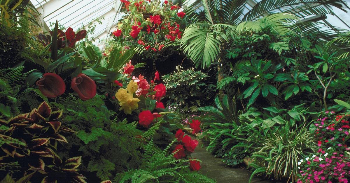 Why Gardens are Beneficial for the Environment: Exploring the Natural Connection