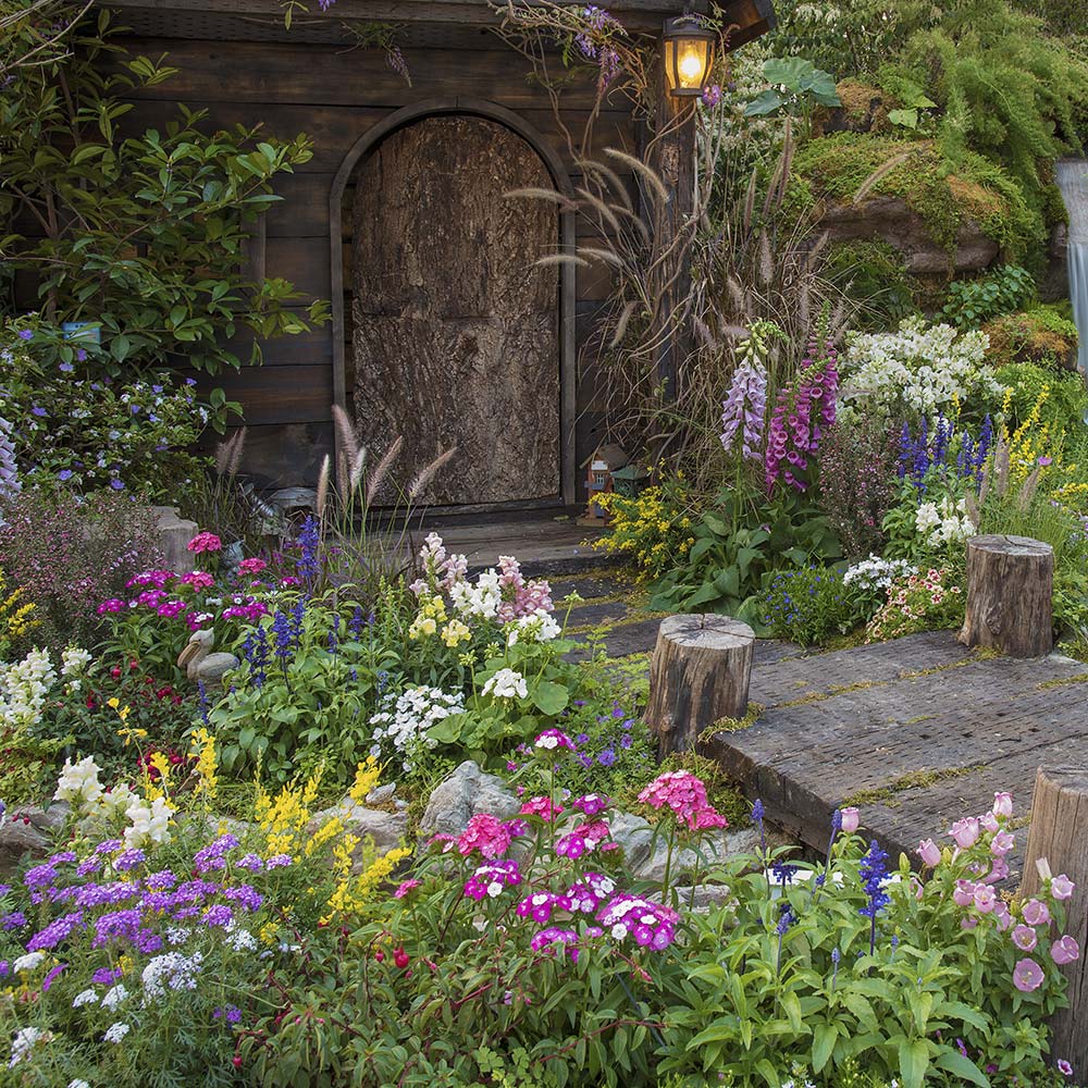 Proven Tips to Cultivate a Beautiful Flower Garden
