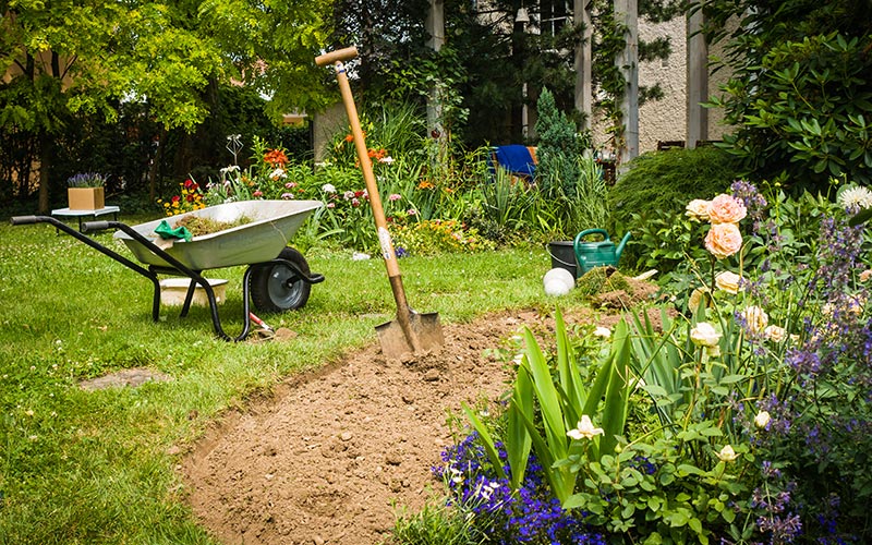 The Simplest Guide to Creating a Beautiful Flower Garden: Step-by-Step Tips for Beginners