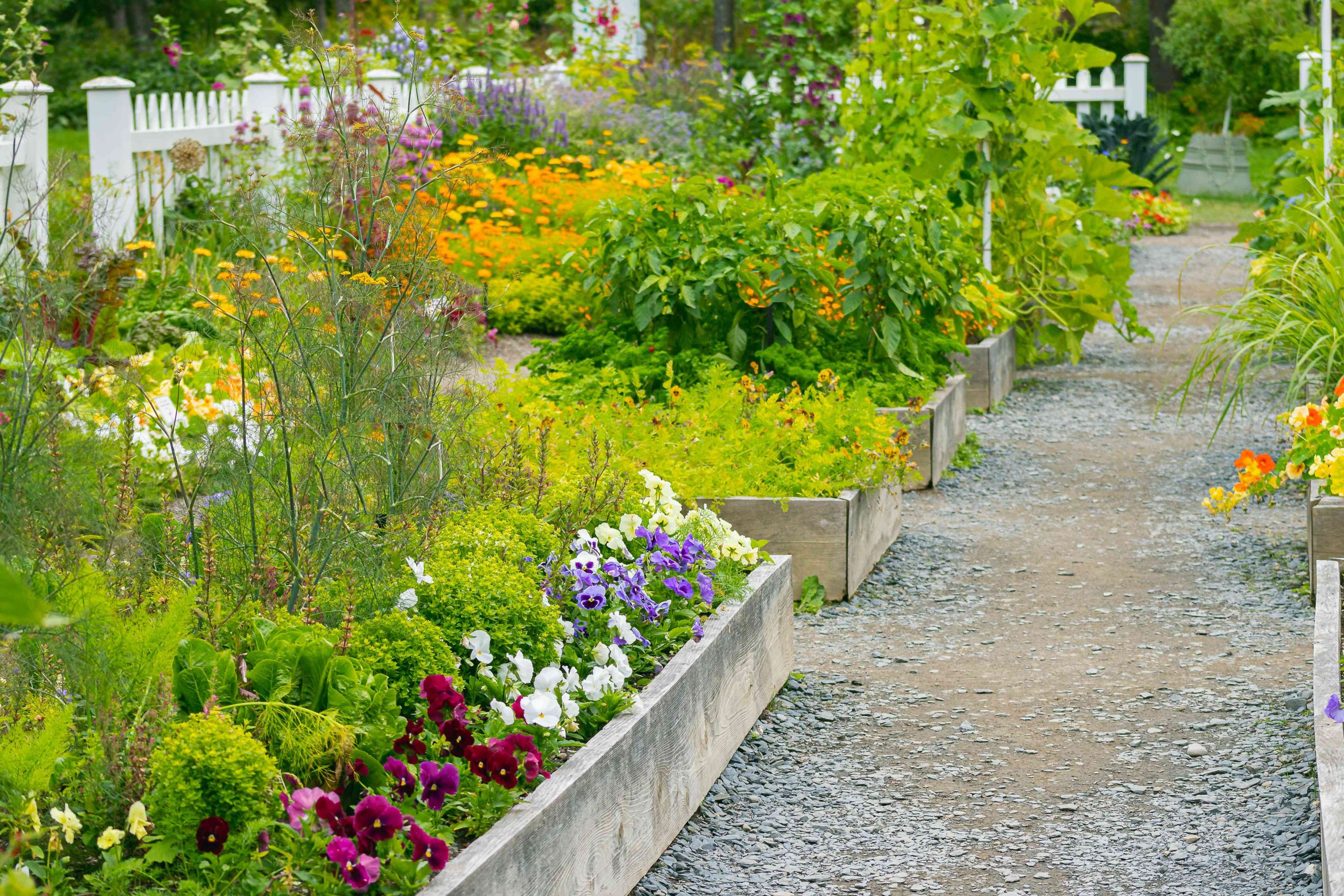 Creating Harmonious Flower Arrangements for a Beautiful Garden