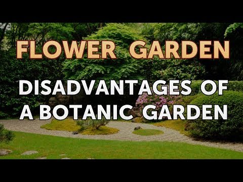 The Hidden Drawbacks of Botanical Gardens: Exploring the Limitations and Challenges