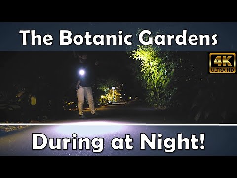 Botanic Gardens After Sundown: Exploring the Beauty of Nature at Night