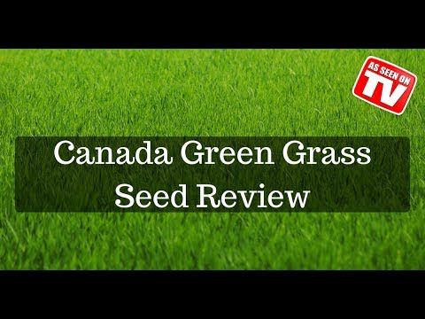 The Secret to a Lush Lawn: Unveiling the Power of Canada Green Grass Seed