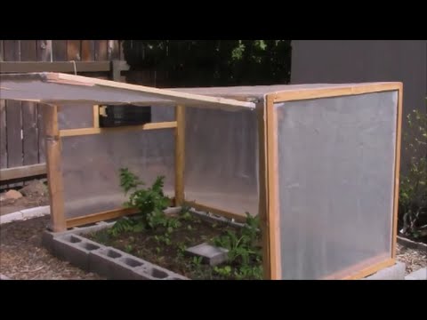 Creating a Cozy Greenhouse for Your Small Backyard: A Guide to Embracing Sustainable Gardening