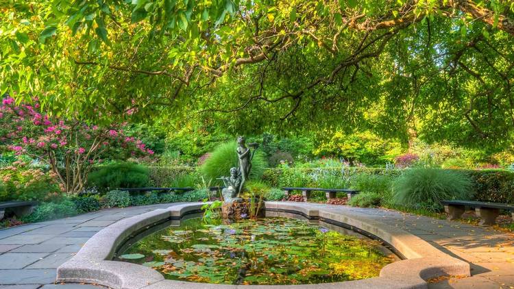 A tranquil oasis in the heart of NYC: Exploring the hidden gems of the botanic gardens