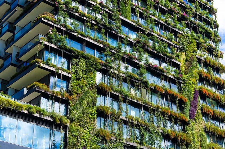 Creating a Serene Oasis: A Guide to ing Your Balcony into a Green Haven