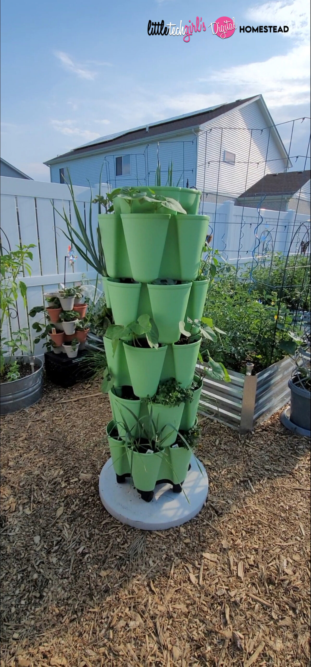 The Benefits and Care Tips for Greenstalks: Growing Greener with Vertical Gardening