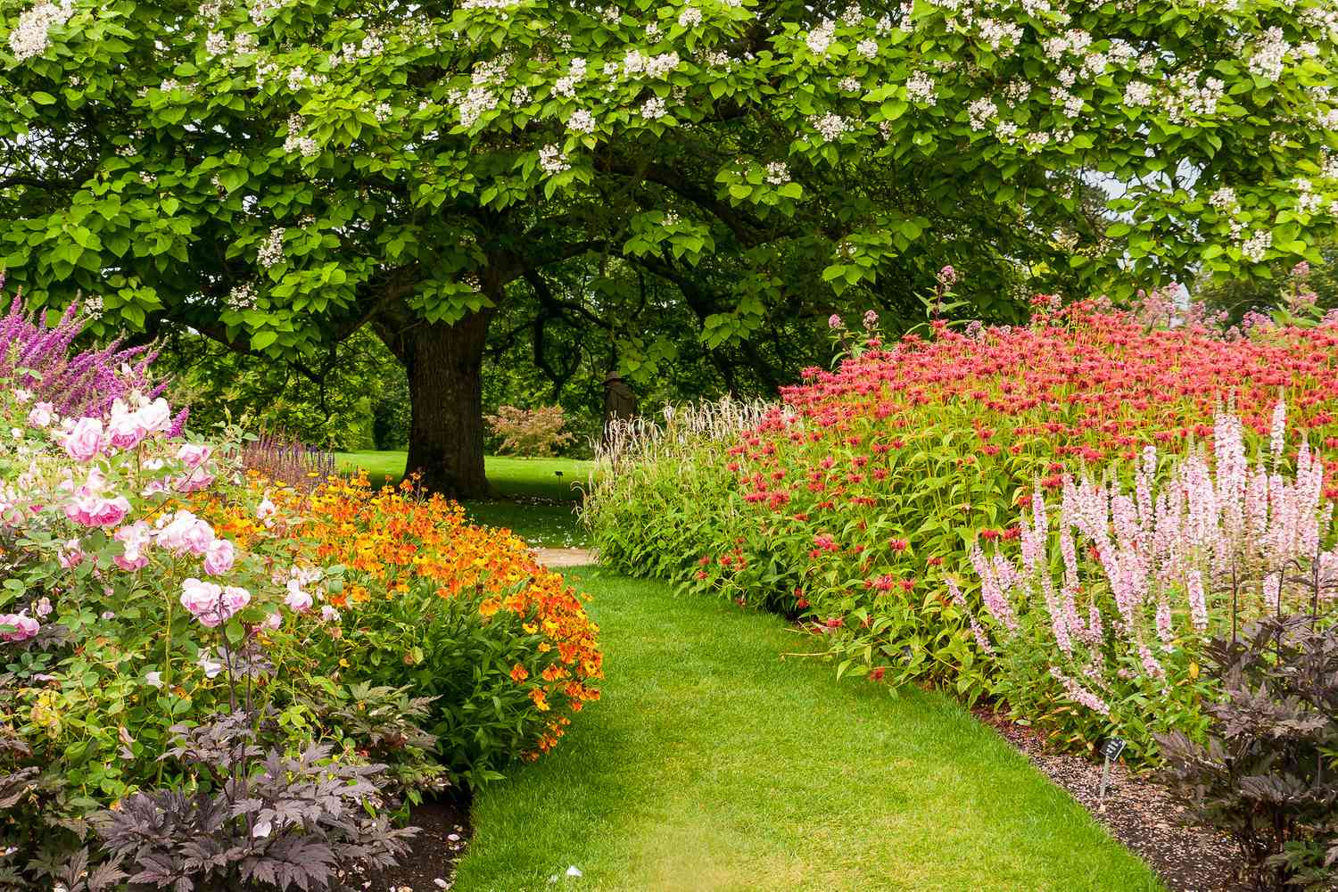 Embracing the Beauty of a Flourishing Flower Garden: A Tranquil Escape from Everyday Life