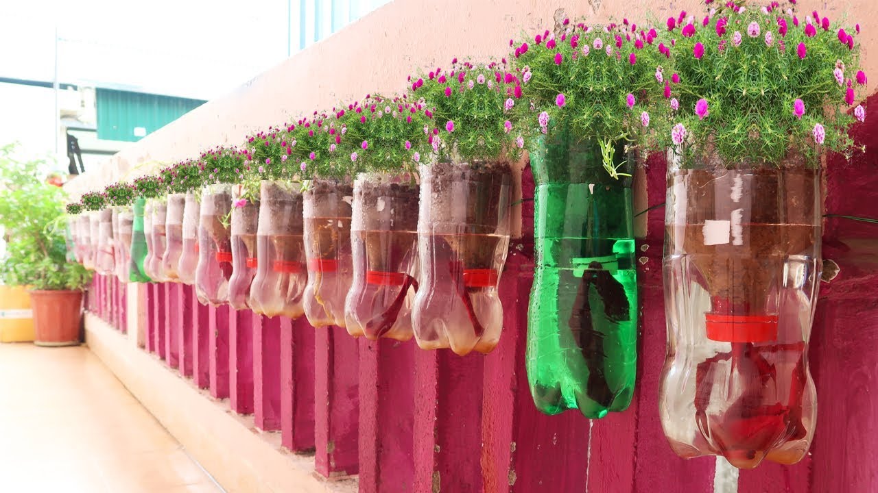 Creative and Sustainable Bottle Garden Ideas: Bringing Nature Inside Your Home