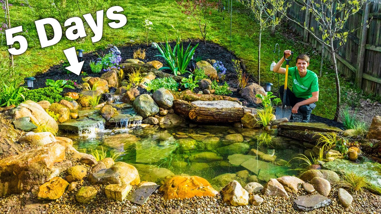 Create a Beautiful and Ecological Garden Pond: Step-by-Step Guide
