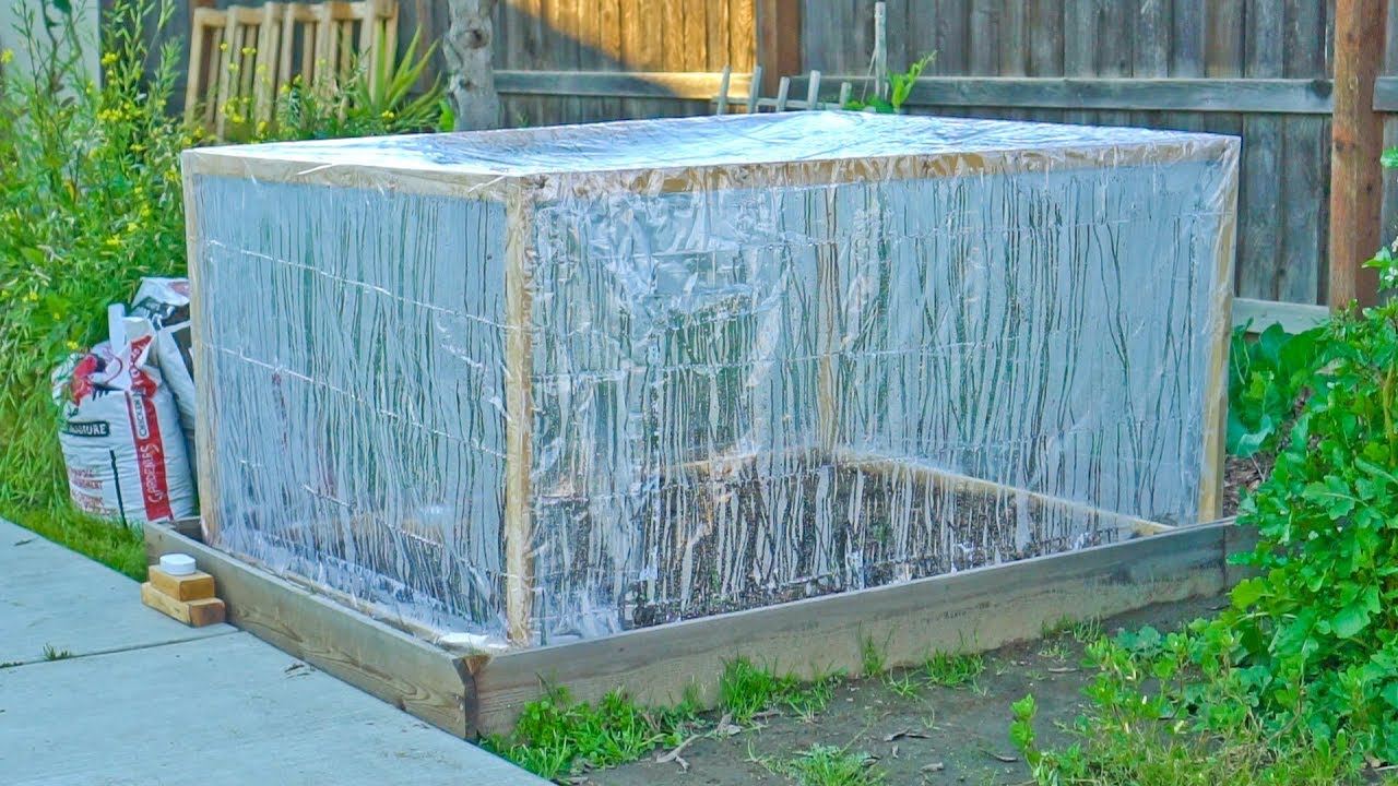 Affordable and Efficient Small Greenhouse: A Budget-friendly Solution for Budding Gardeners