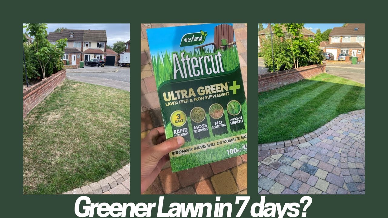 Your Lawn with Aftercut Ultra Green's Powerful Results