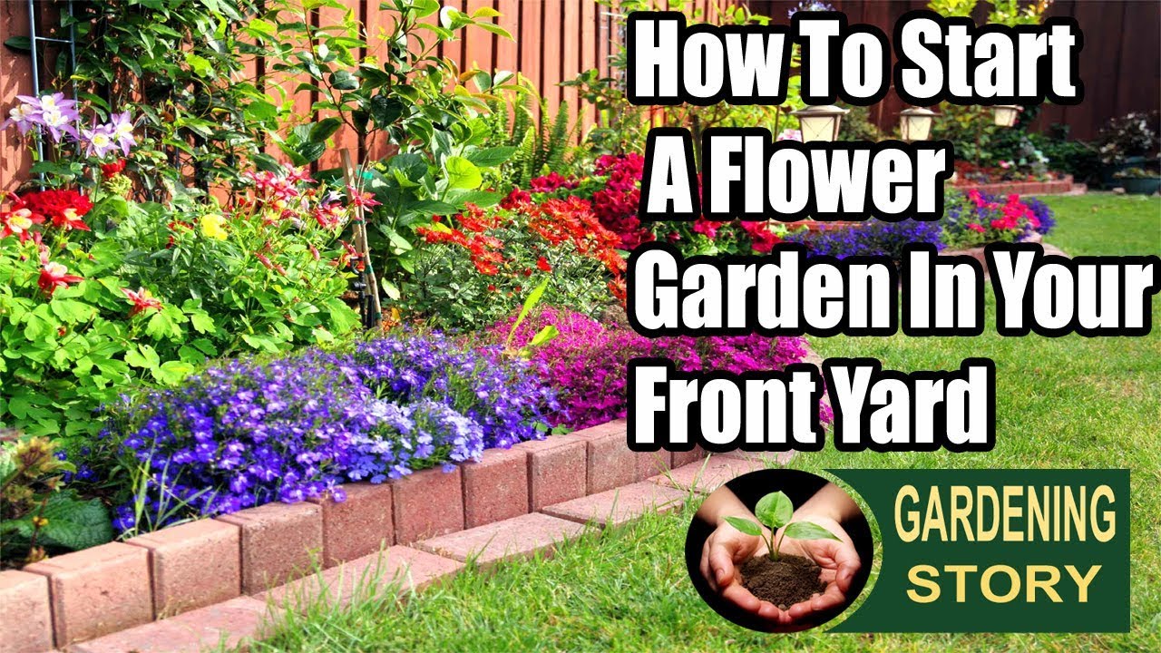 Step-by-Step Guide to Creating Your Beautiful Flower Garden from Scratch