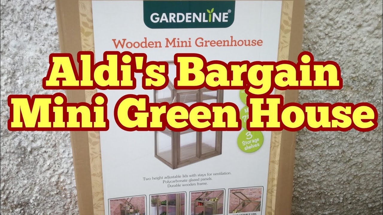 Aldi's Small Greenhouse: A Charming Solution for Cultivating Your Home Garden