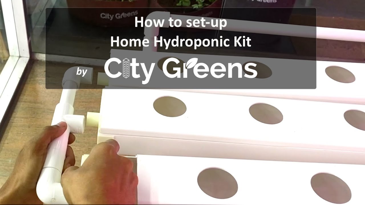 Exploring the Benefits of City Greens Hydroponics: A Sustainable Solution for Urban Agriculture