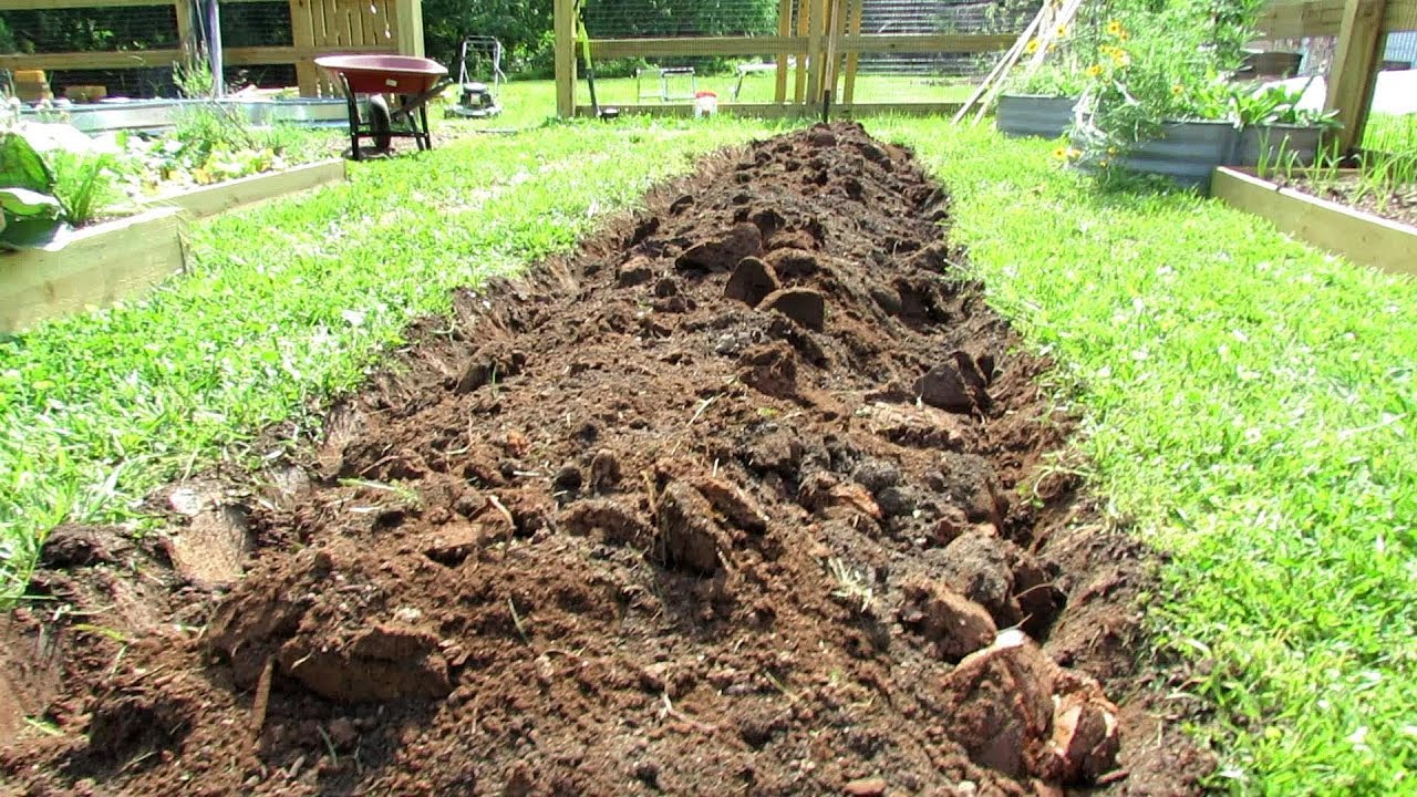 The Benefits of Creating an In-ground Vegetable Garden and How to Get Started