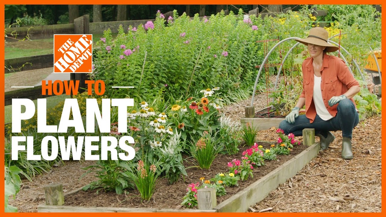 When to Start Your Flower Garden: A Guide for Optimal Planting Time