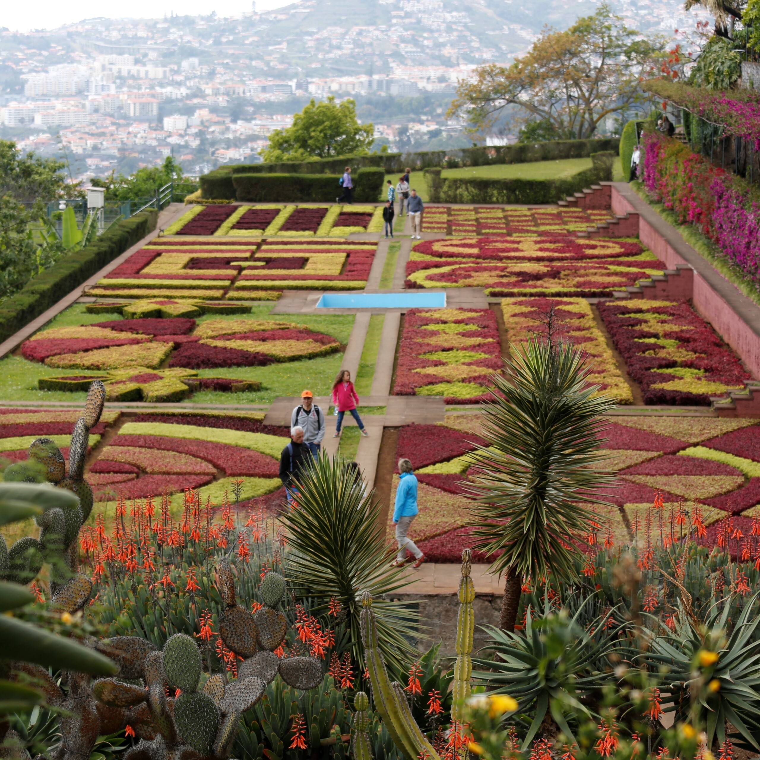 A Guide to Exploring Funchal's Botanical Garden: How to Get There and Make the Most of Your Visit
