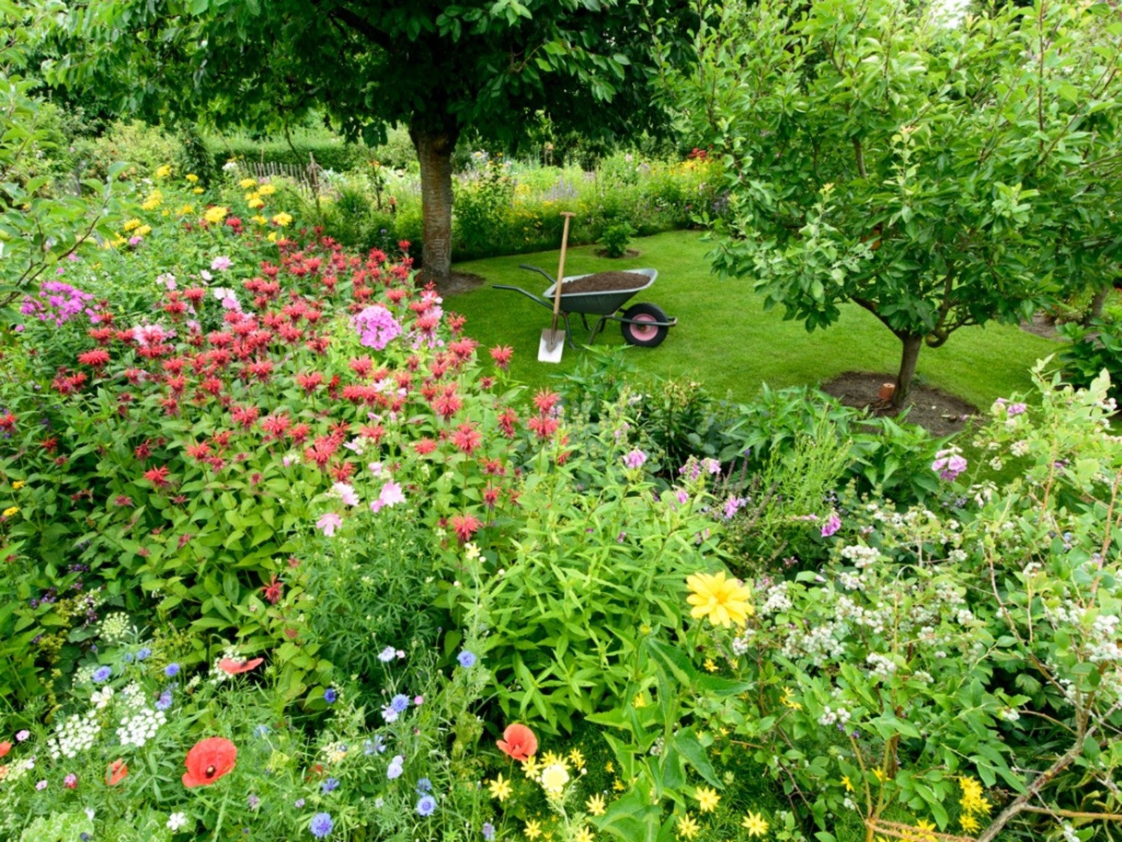 The Beauty of a Lush Garden: A Guide to Creating a Serene and Sustainable Outdoor Space