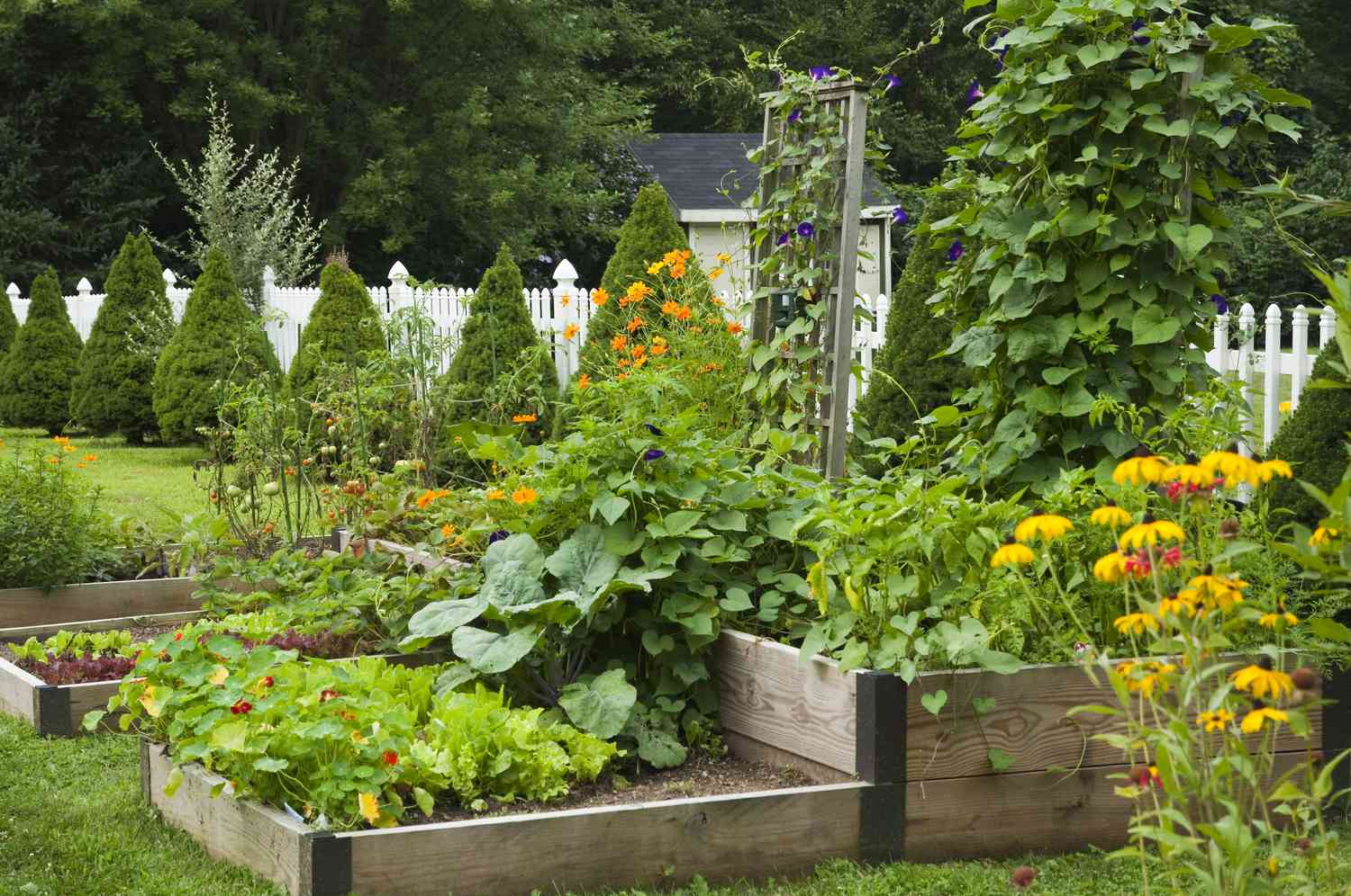 When is the Perfect Time to Cultivate Your Blooming Flower Garden?