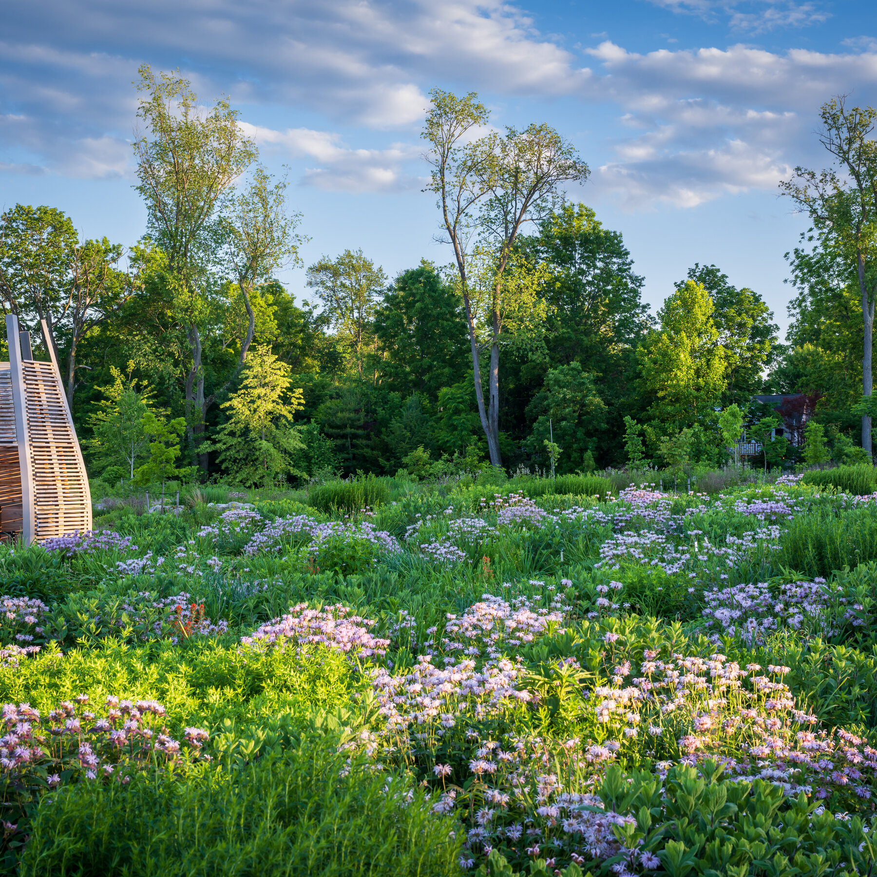 A Harmony of Nature: Embracing the Beauty of Gardens