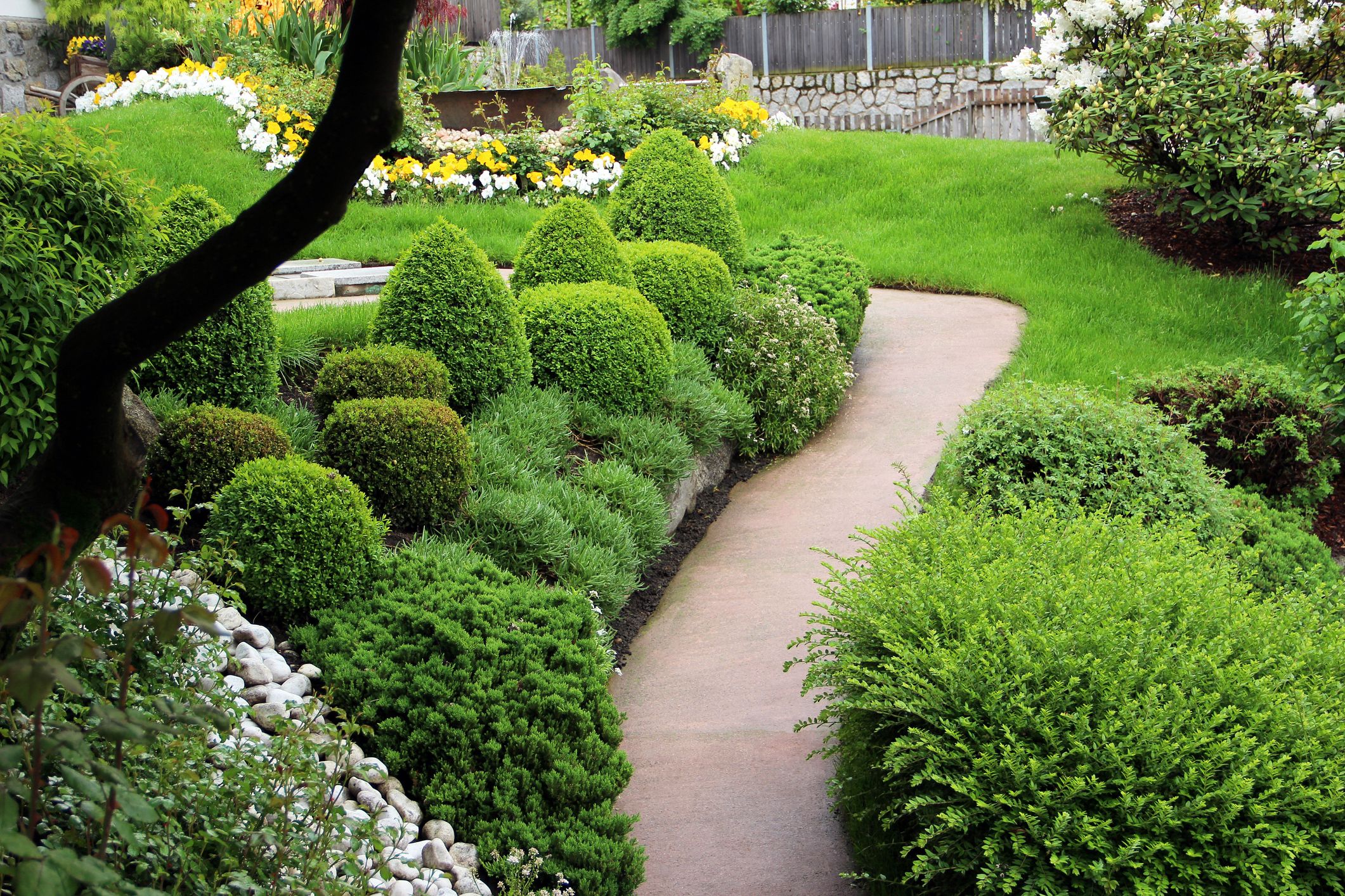 The Beauty and Benefits of Evergreen Bushes: A Timeless Addition to Any Landscape