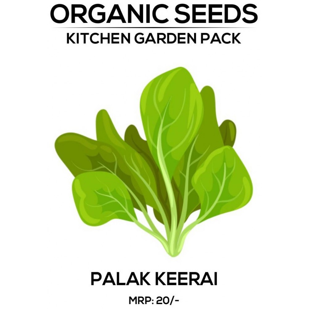 The Benefits of Incorporating Palak Seeds into Your Diet for Optimal Health