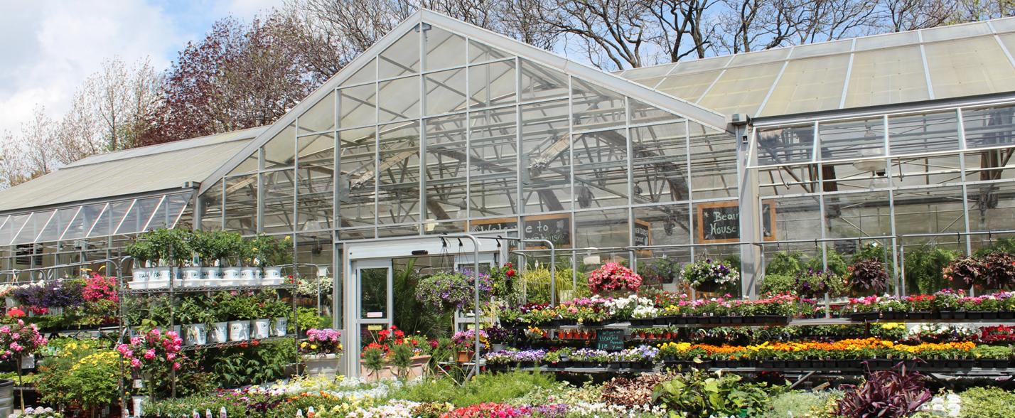 A Guide to Building and Maintaining a High-Quality Greenhouse for Optimal Plant Growth