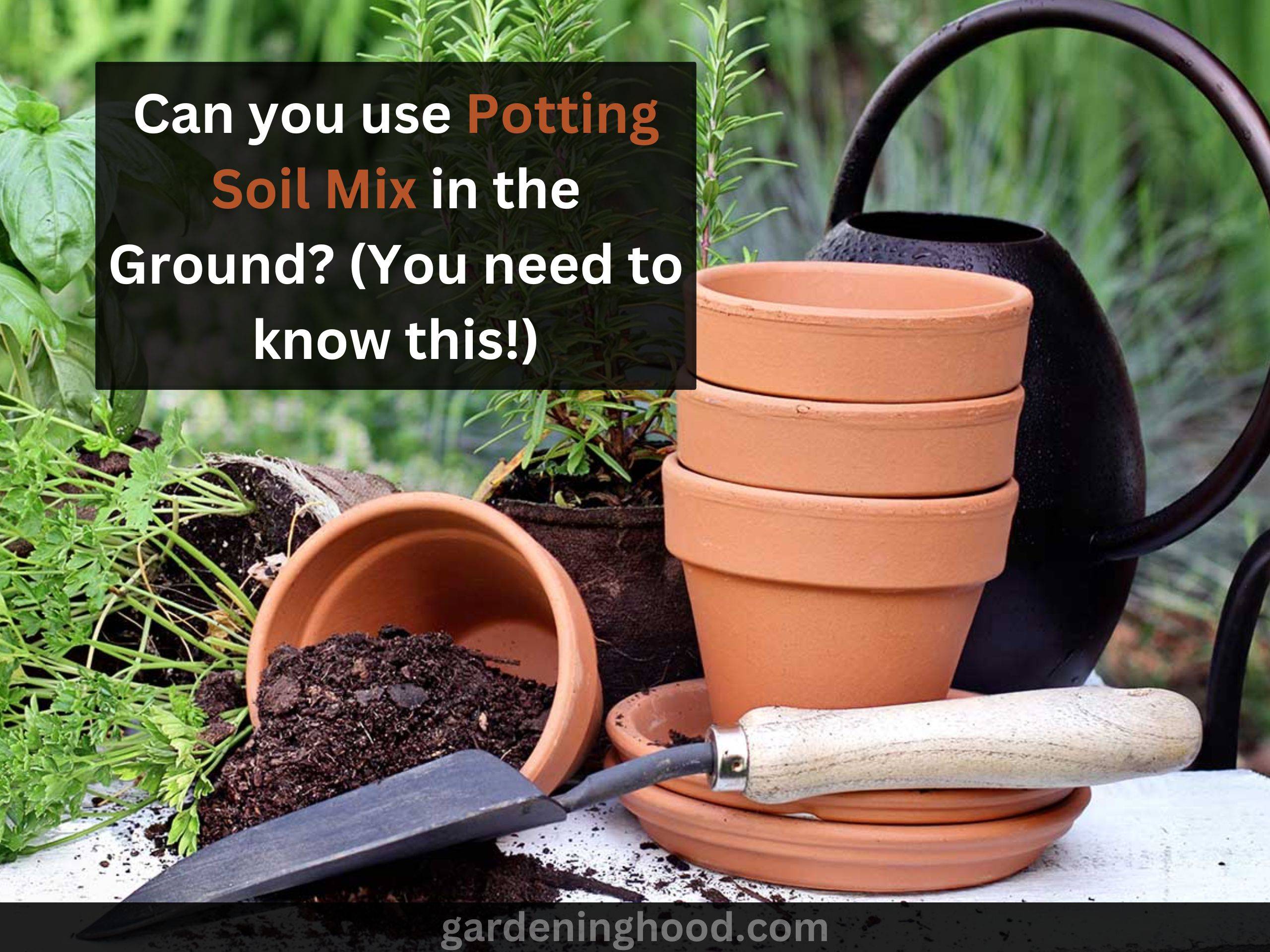 The Benefits of Using Potting Soil for Healthy Ground Planting