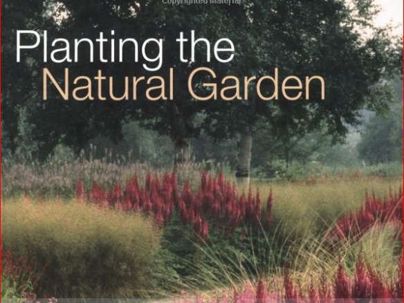 Simple Steps to Begin Your Natural Garden: A Guide for Beginners