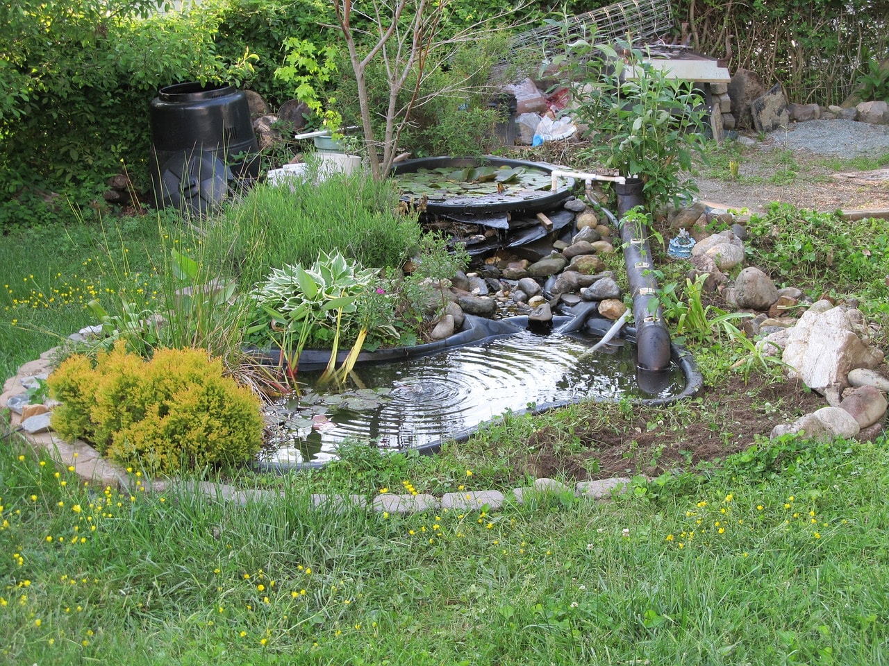 Creating a Serene Oasis: A DIY Guide to Building a Beautiful Natural Garden Pond