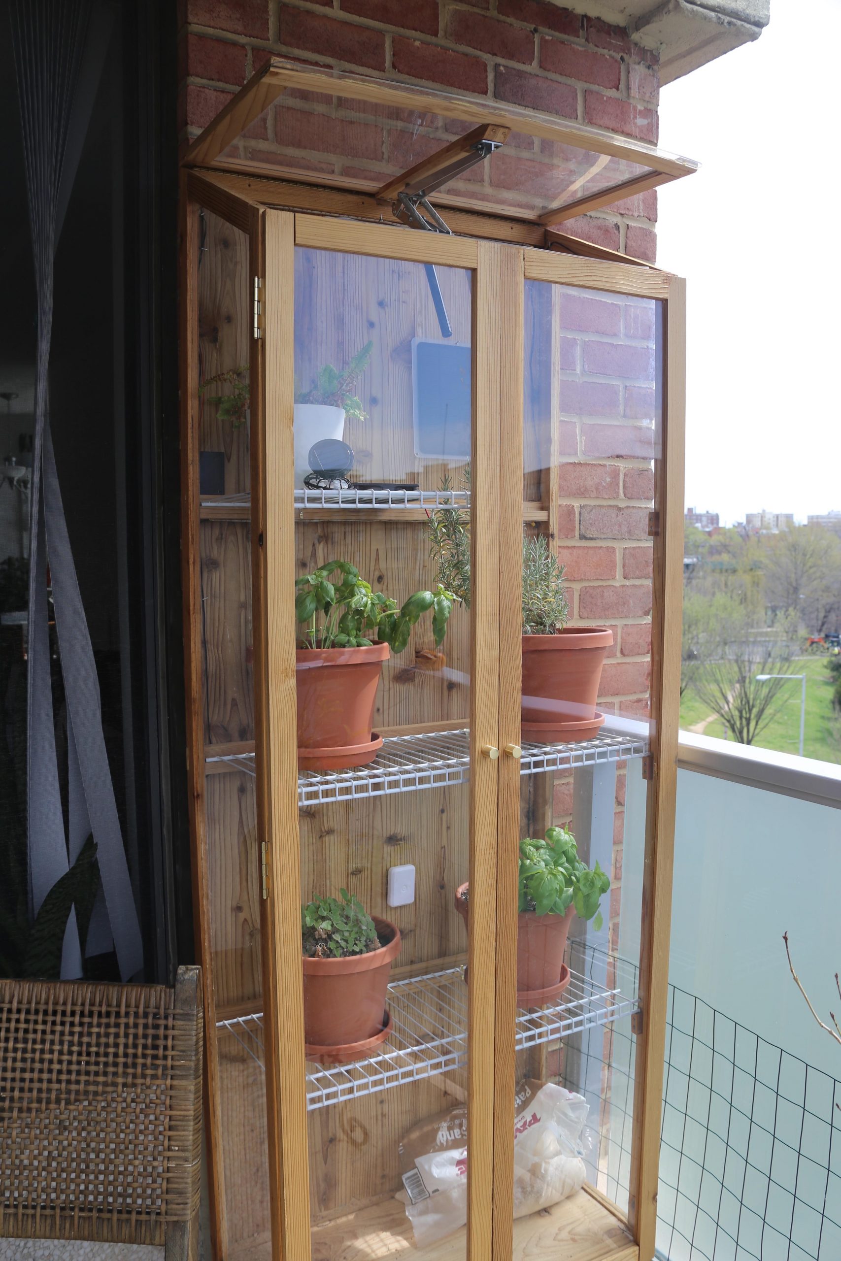 Creating a Lush and Green Balcony Oasis with a Miniature Greenhouse