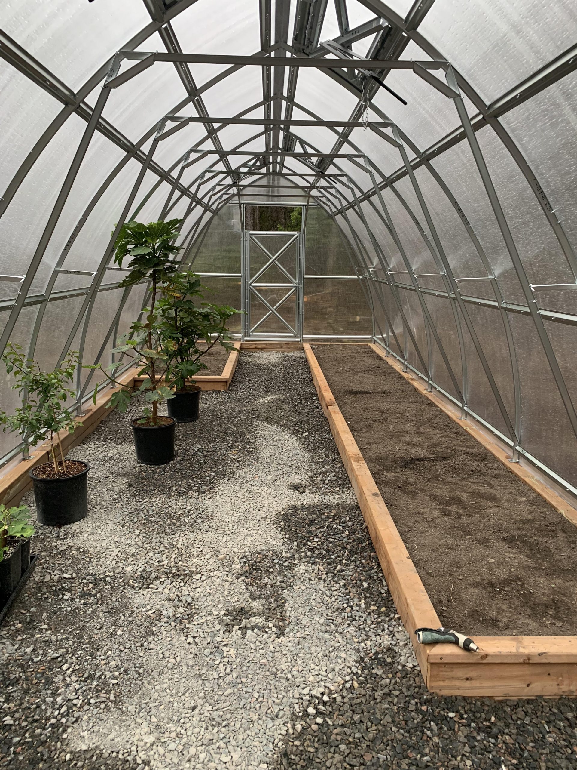 The Benefits of Sungrow Greenhouses for Thriving Planta Growth