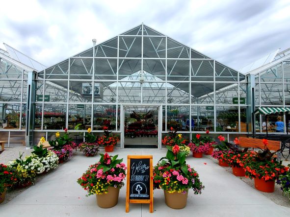 The Complete Guide to Creating a Thriving Greenhouse Garden: Tips, Techniques, and Expert Advice