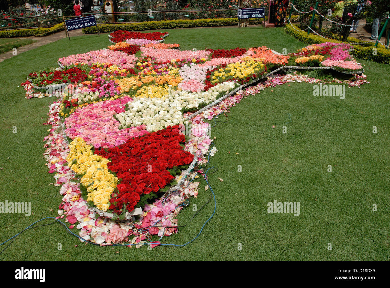 The Beauty of Flower Gardens: Understanding the Tamil Meaning