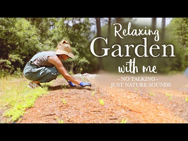 Immerse Yourself in Tranquility: Exploring the Calming Serenity of Nature Sounds in a Garden