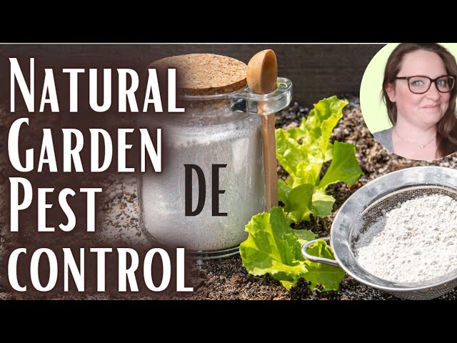 Effective Methods for Organic Garden Pest Control: Tried and Tested Solutions for a Bountiful and Environmentally-Friendly Harvest